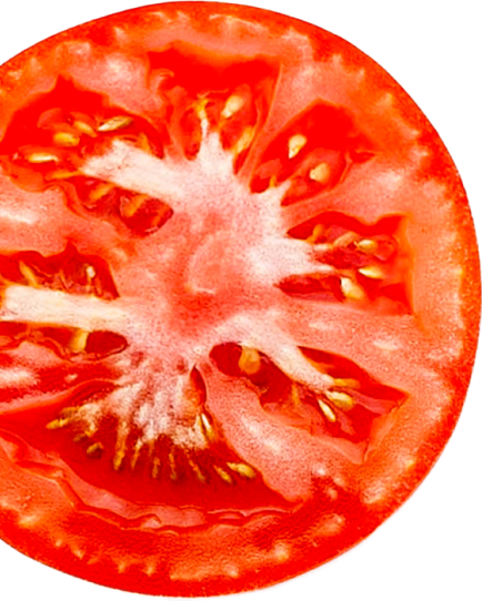 main-tomato